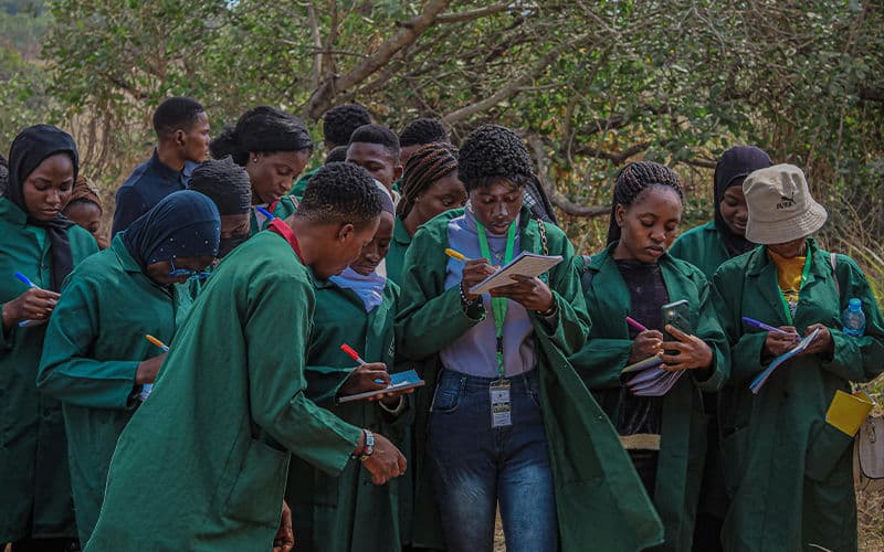 New Curriculum Framework for Primary Schools Announced